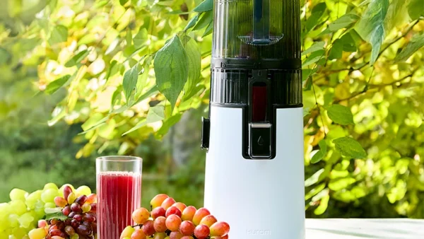 Hurom sokovnik H70-ST Pure Press